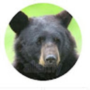 Meet your Posher, Sally